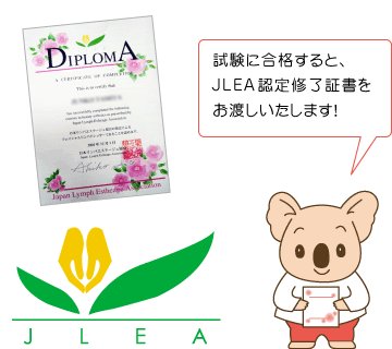 �i�k�d�`�C���؏�